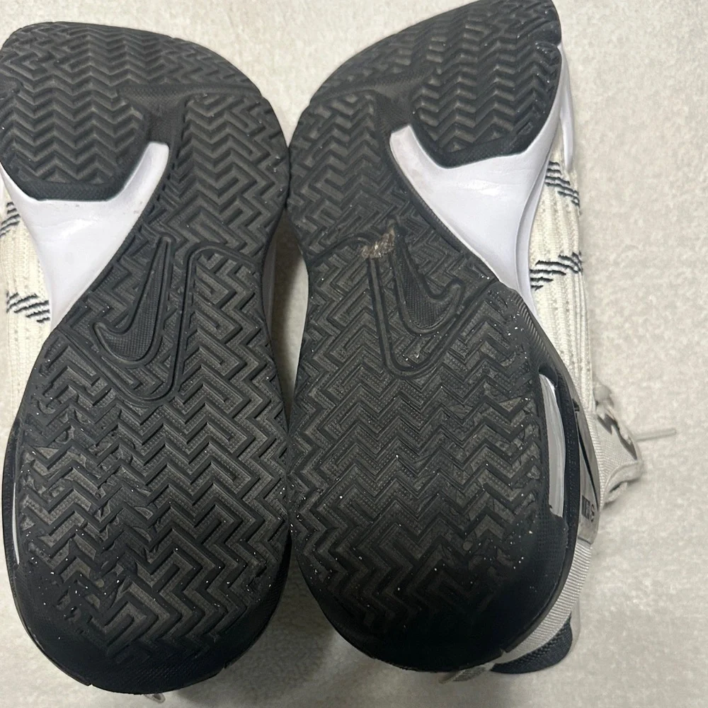 Nike lebron witness